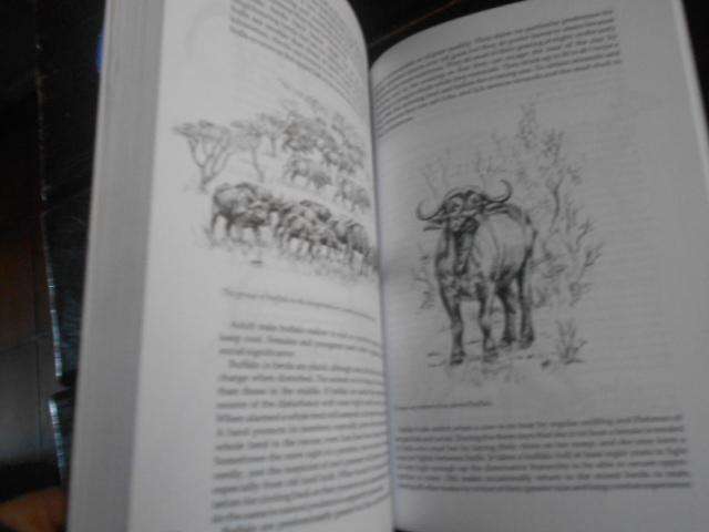 Wild Ways:  Field Guide - Behaviour of SA Mammals illus P Meakin - PETER APPS 1992