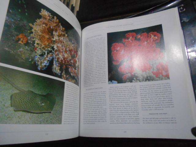 R Chambers & Francois Odendaal - ASPECTS OF LIFE -  Natural history of SA picture book autographed