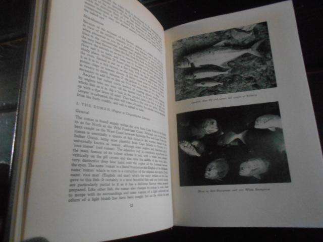 S SCHOEMAN - STRIKE A handbook of fishing in South African coastal waters -illus Balkema 1957