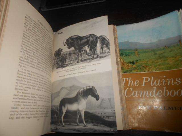 THE PLAINS OF THE CAMDEBOO EVE PALMER illus Hardcover 1966