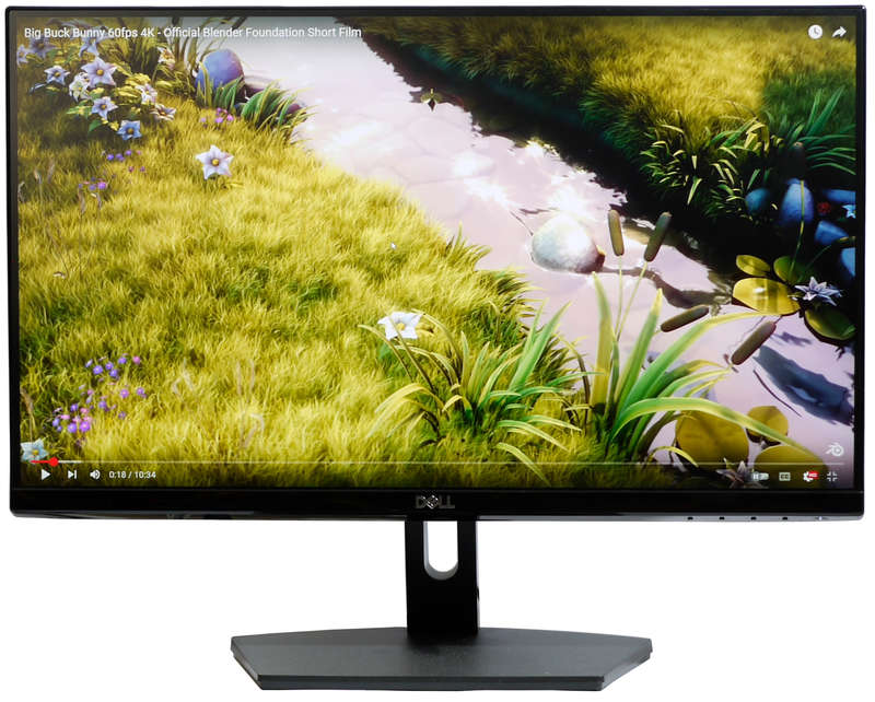 Dell SE2219H 54.6 cm(21.5 inches) LED IPS Monitor HDMI VGA 1920 x 1080 Full HD Black