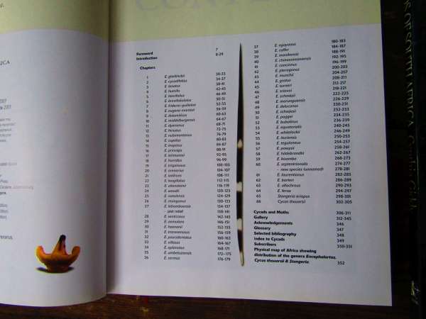 Cycad books