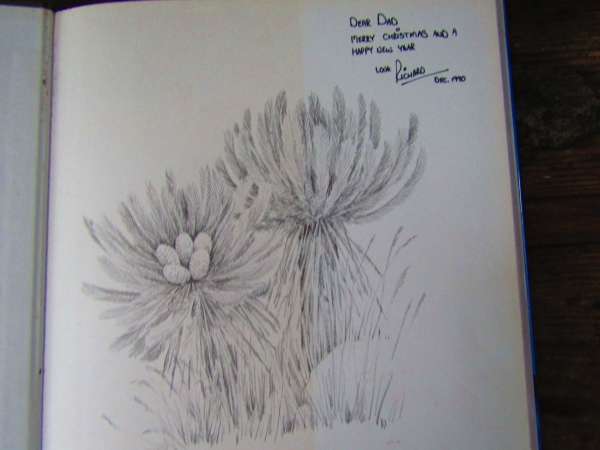 Cycad books