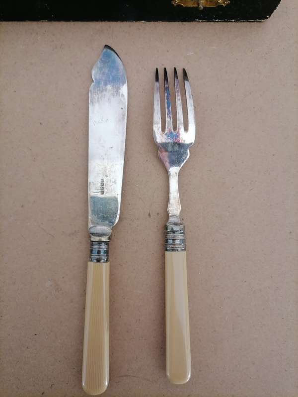 Set Of 12 Vintage Mappin & Webb Fish Forks & Knives With Case