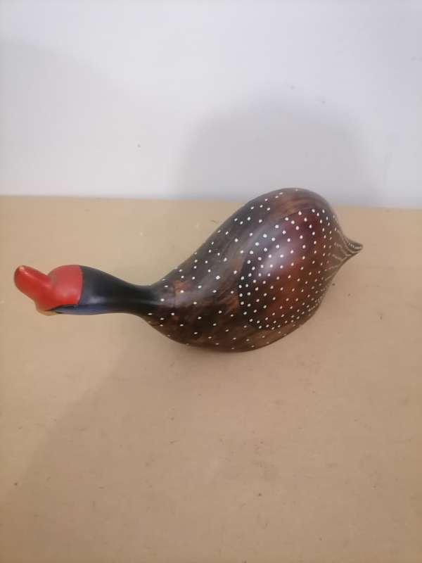 Feathers of Knysna Crowned Guinea Fowl 192B - Tarentaal  - 650/975 - Limited Edition - AMAZING