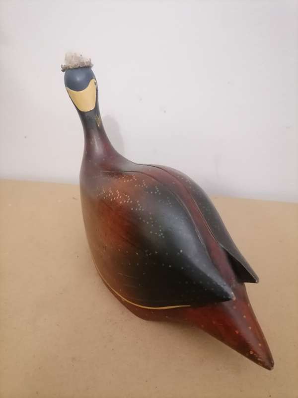 Feathers of Knysna Crested Guinea Fowl 193 - Kuifkop Tarentaal - 211/975B - Limited Edition - AMAZIN
