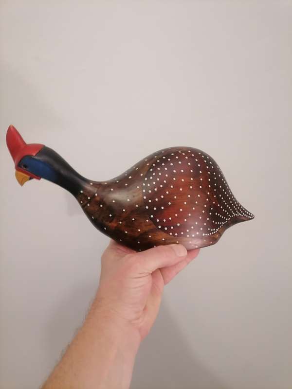 Feathers of Knysna Crested Guinea Fowl 193 - Kuifkop Tarentaal - 211/975B - Limited Edition - AMAZIN