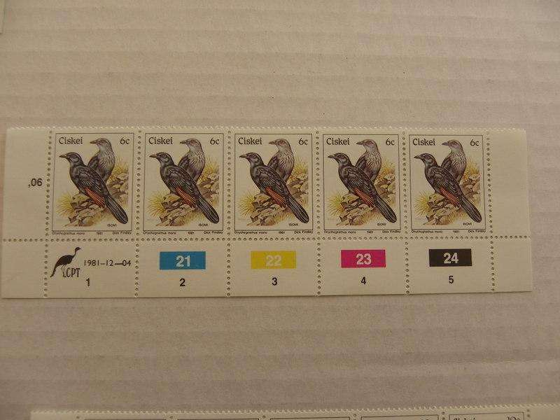 Ciskei 1st Definitive Series (1981) - Birds 6c Mint Control Block #21 Dated 1981-12-04