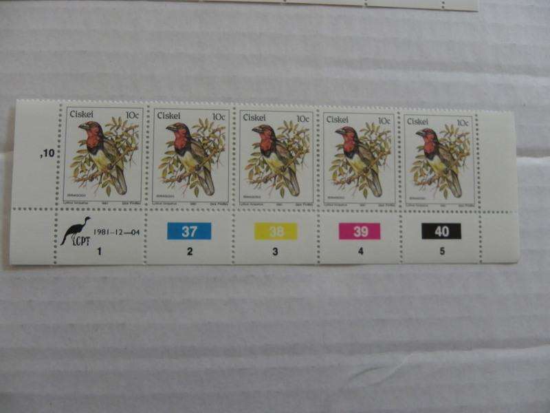 Ciskei 1st Definitive Series (1981) - Birds 10c Mint Control Block #37 Dated 1981-12-04