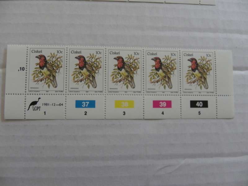 Ciskei 1st Definitive Series (1981) - Birds 10c Mint Control Block #37 Dated 1981-12-04