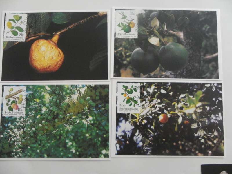 Bophuthatswana 2.22 (1991) - Edible wild Fruit Maxicard Set