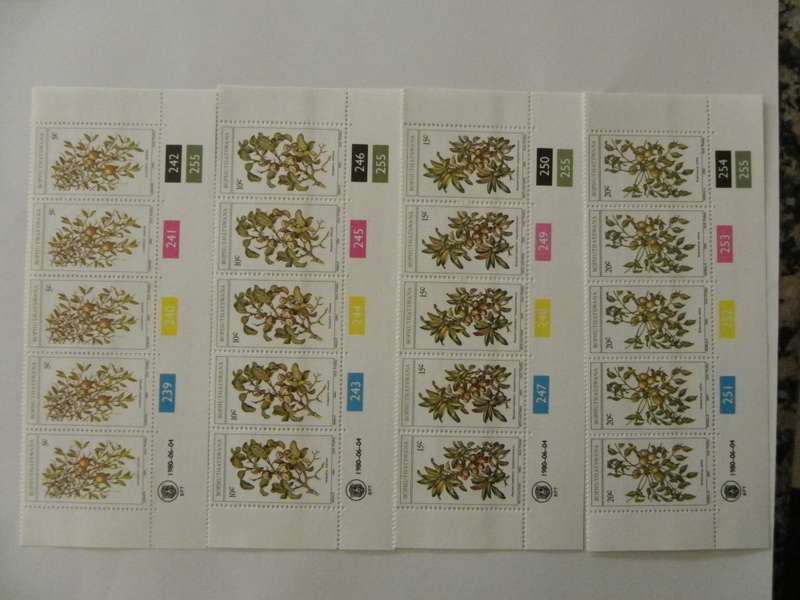 Bophuthatswana 1.12 (1980) - Edible Wild Fruit Mint Control Block Set