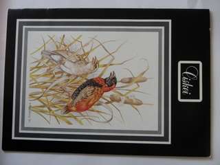 Ciskei 1st Definitive Series (1981) - Official SAPO Brochure