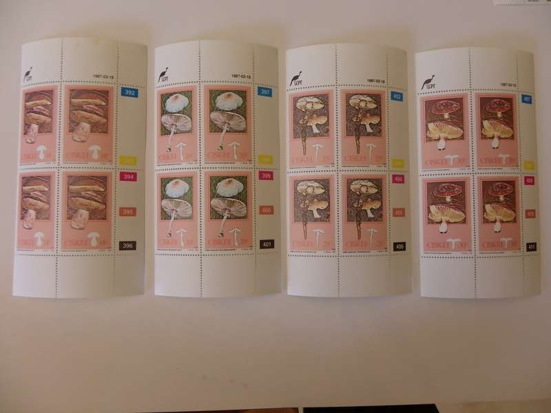 Ciskei 1.21 (1987) - Edible Mushrooms Mint Control Block Set