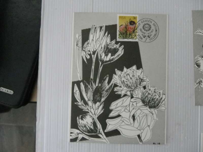 RSA (1977) - Wild Flower Garden Illustrated FDC