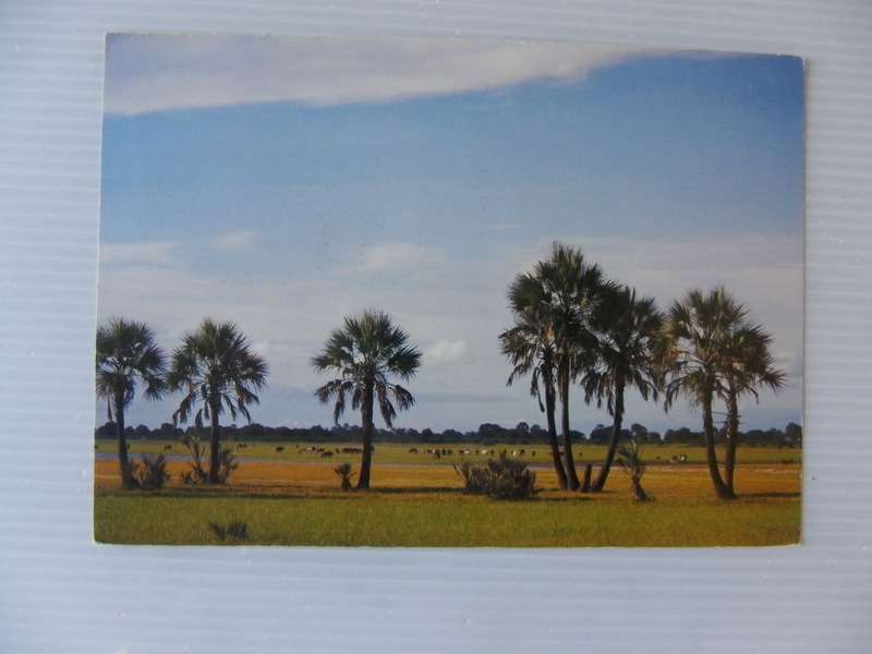 SWA (1977) - Old Postcard