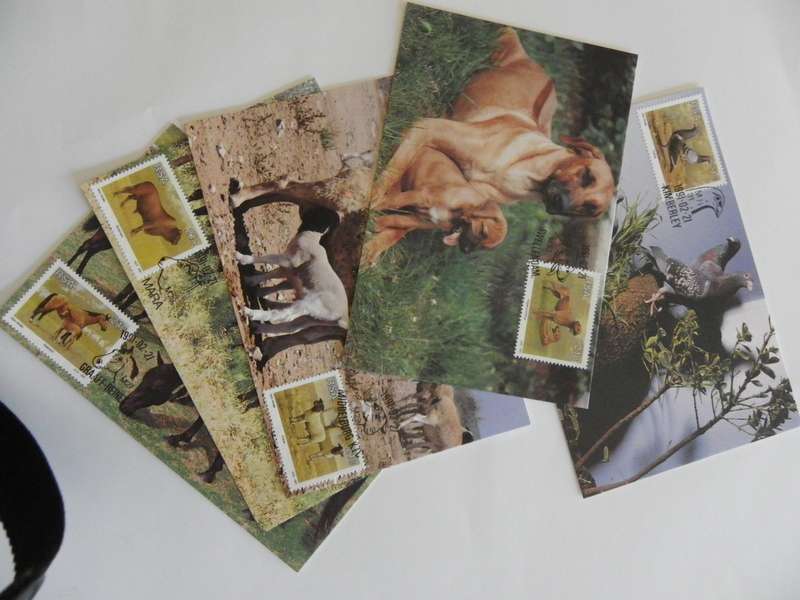 RSA 5.13 (1991) - Animal Breeds Maxicard Set