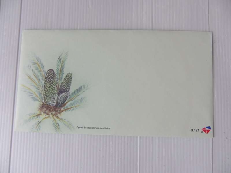 RSA 8.121 (2019) - Cycads Unserviced FDC