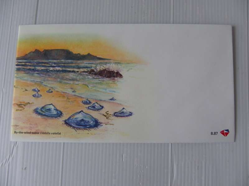 RSA 8.87 (2015) - Jellyfish in SA Unserviced FDC