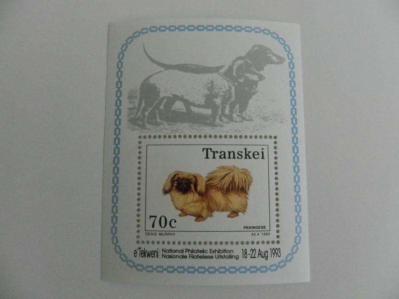 Transkei SAF08 (1983) - Dog Breeds Mint Miniature Sheet