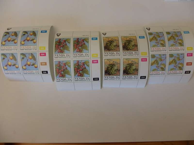 Venda 1.24 (1985) - Food from the Veld Mint Control Block set