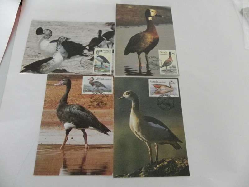Venda 2.05 (1997) - Waterfowl Maxicard Set