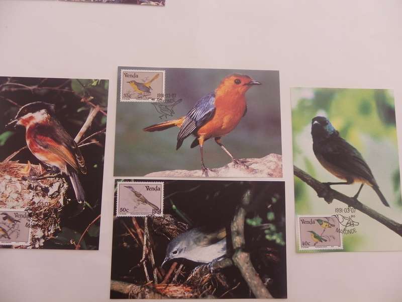 Venda 2.21 (1991) - Birds of Venda Maxicard Set