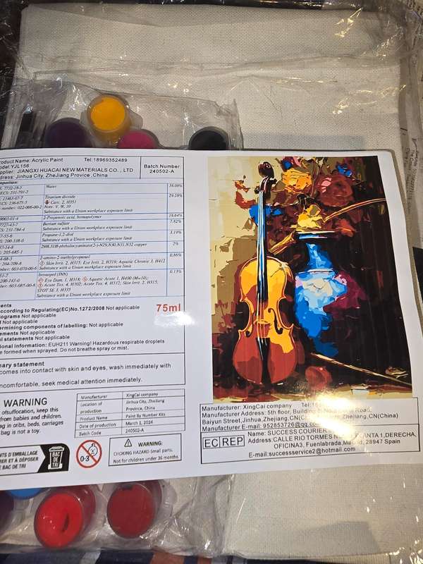 Paint By Numbers - Canvas, Paint - Violin and Vase with Flowers per pic