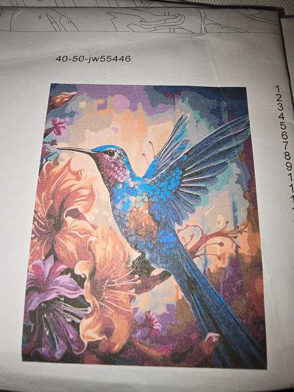 Paint By Numbers - Canvas, Paint - Sunbird