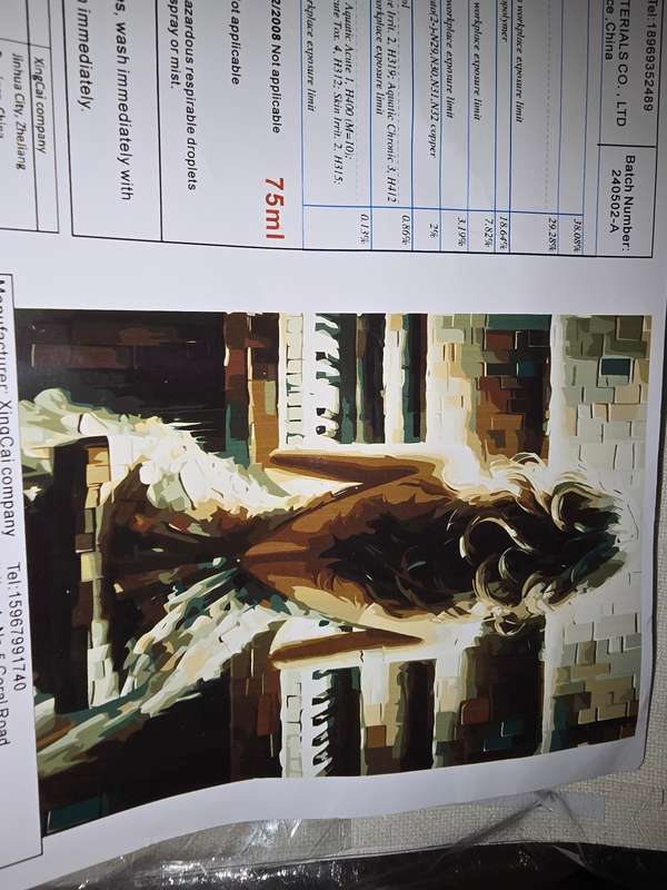 Paint By Numbers - Canvas, Paint - Lady playing the piano