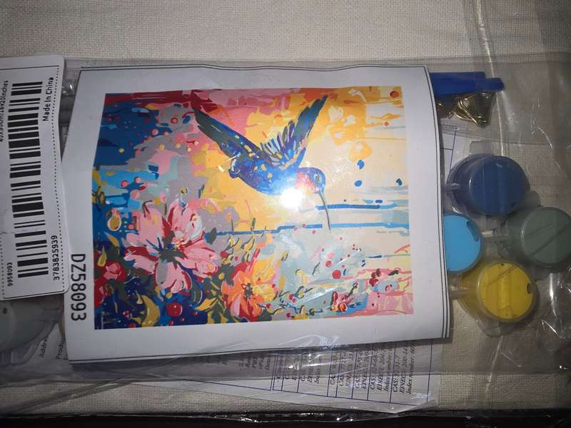 Paint By Numbers - Canvas, Paint - Sunbird