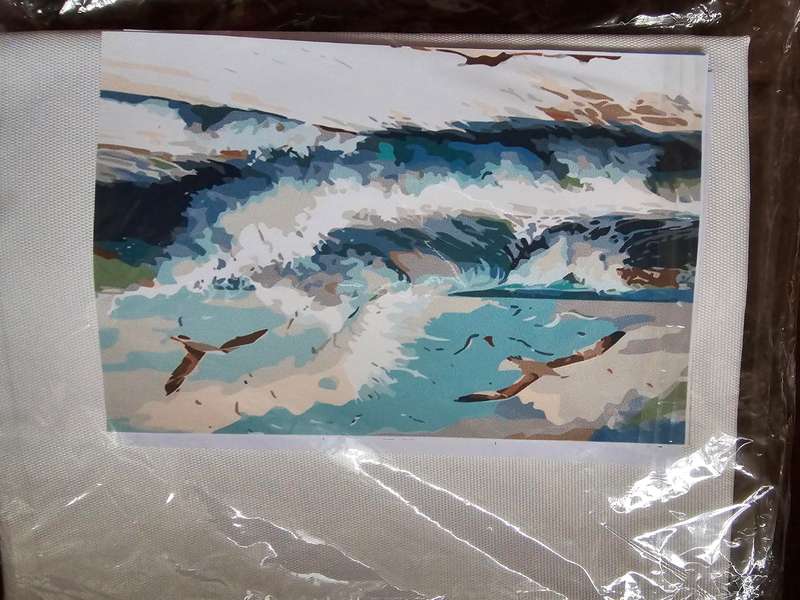 Paint By Numbers - Canvas, Paint - seagulls and sea scene
