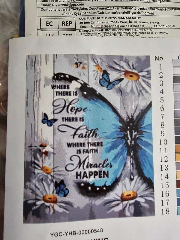 Paint By Numbers - Canvas, Paint - Butterfly Board