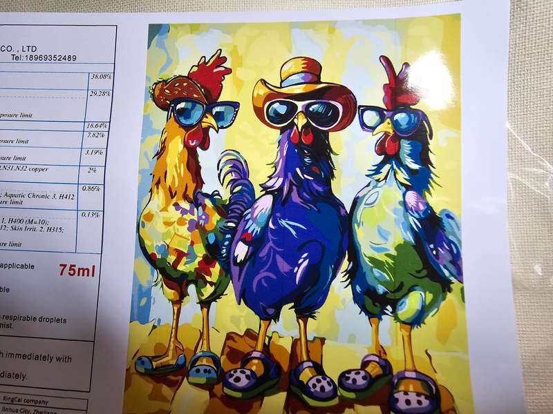 Paint By Numbers - Canvas, Paint - Cool Chickens