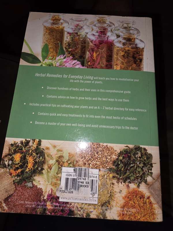 Herbal Remedies - For Everyday Living by Anne Mcintyre