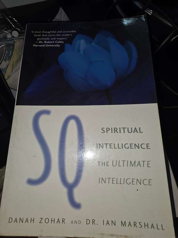 SQ: Connecting With Our Spiritual Intelligence - Danah Zohar & Ian Marshall