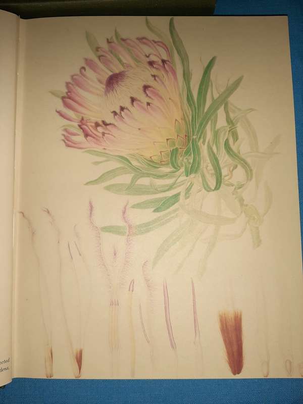 Cultivation of the Plants Belonging to the Natural Order Proteeae Ltd Ed. 119/300, Signed