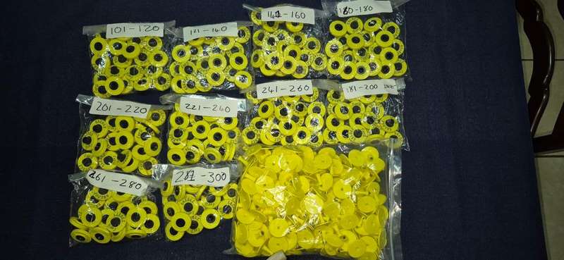 6m UHF Scanner + 200 UHF Cattle Tags With Applicator