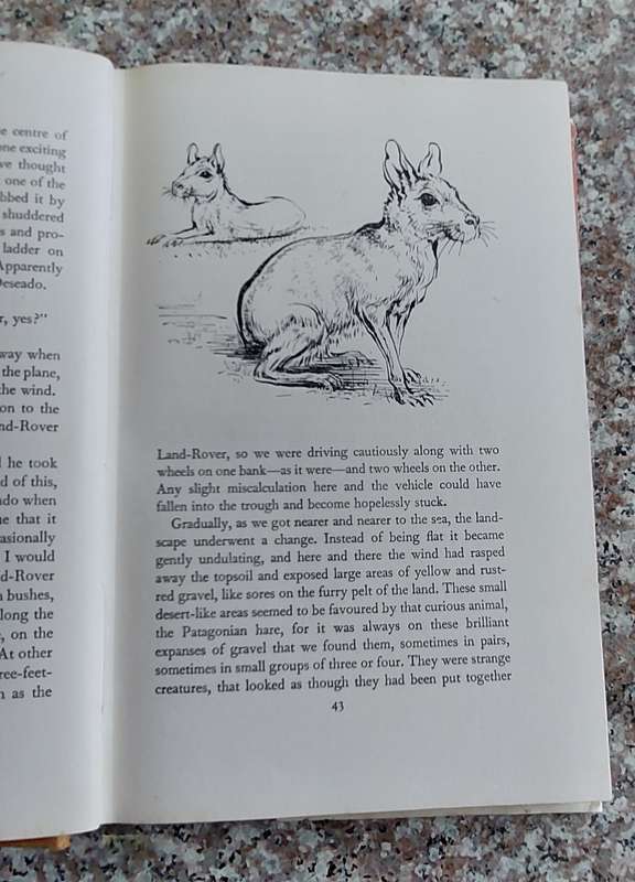 The Whispering Land by Gerald Durrell  First Edition (1961)