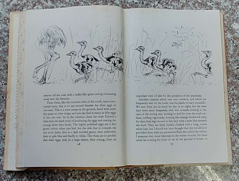 The Whispering Land by Gerald Durrell  First Edition (1961)