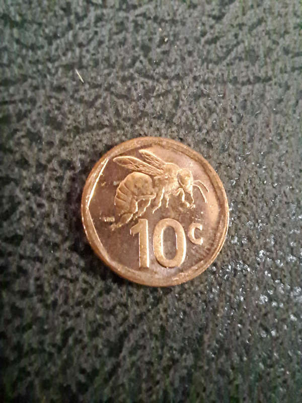 2023 10c