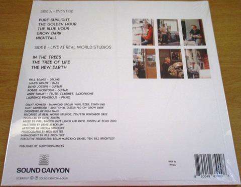 HELD BY TREES LP VINYL Record