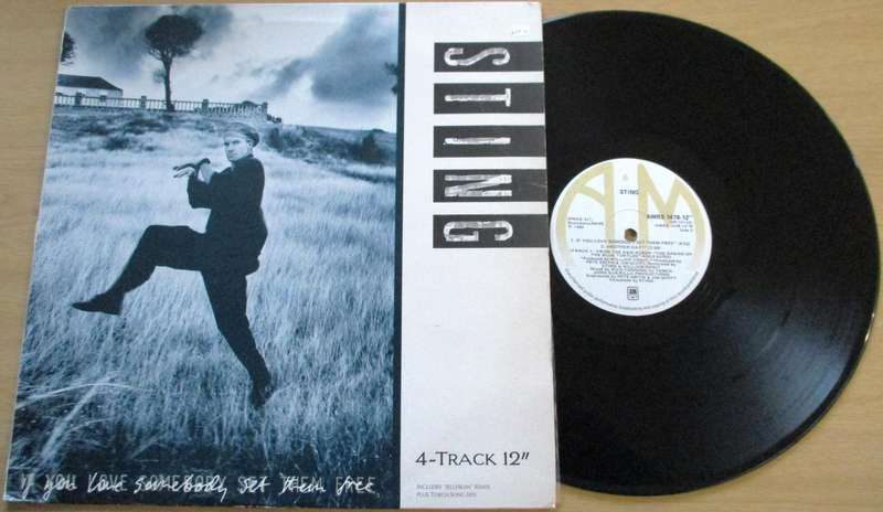 STING If You Love Somebody, Set Them Free 12" Maxi Single VINYL RECORD