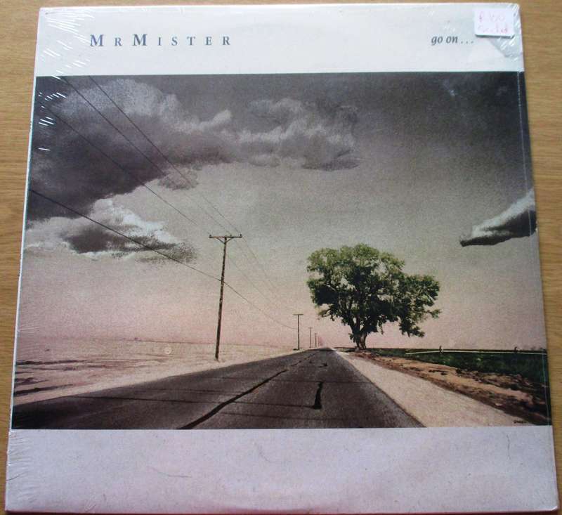MR MISTER Go On VINYL RECORD
