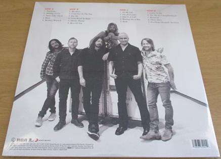 FOO FIGHTERS The Essential 2xLP VINYL Record
