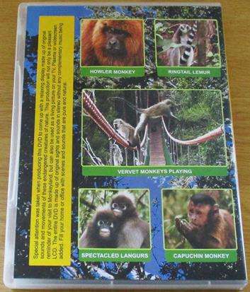 MONKEYLAND Plettenberg Bay South Africa DVD  [BBOX 11]