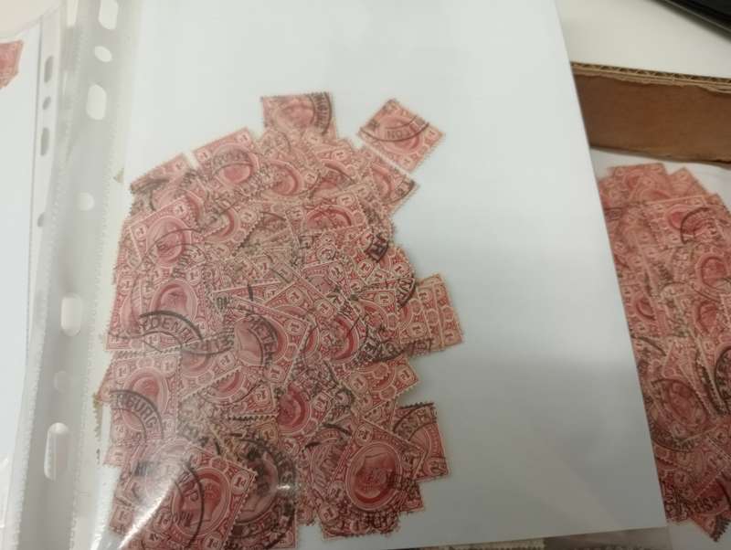 TRANSVAAL   1000`s OF VFU PENNIES-RESEARCH LOT 1 BOX AND 3 PACKETS