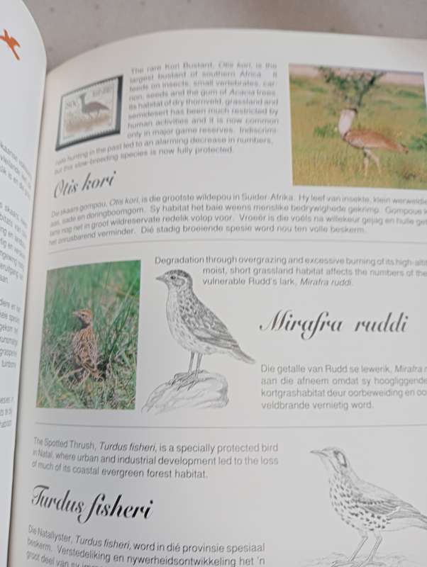 RSA-LOVELY FAUNA AND FLORA DEFINITIVE BOOK WITH ALL THE ISSUES