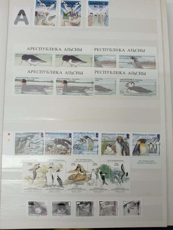 BIRDS SETS SOME OF WHICH ARE VERY SCARCE LIKE BRUNIE ETC-SEE ALL THE LOTS TODAY !!!