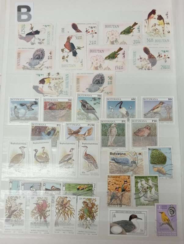 BIRDS SETS SOME OF WHICH ARE VERY SCARCE LIKE BRUNIE ETC-SEE ALL THE LOTS TODAY !!!